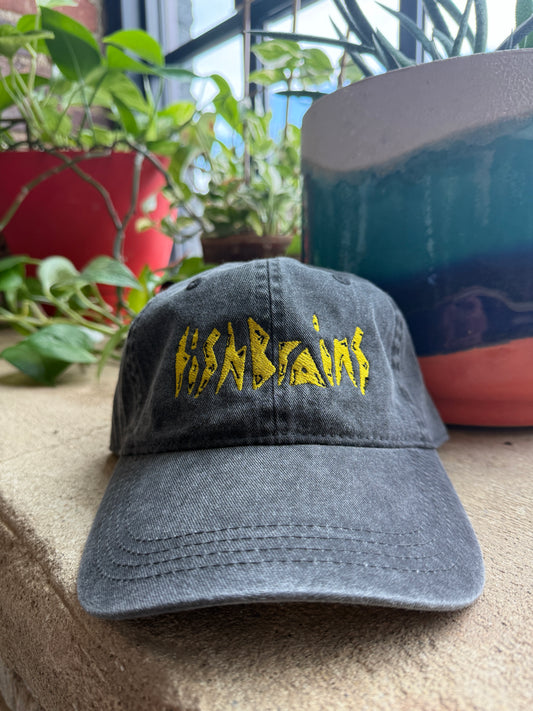 FishBrains “Logo” Dad Hat